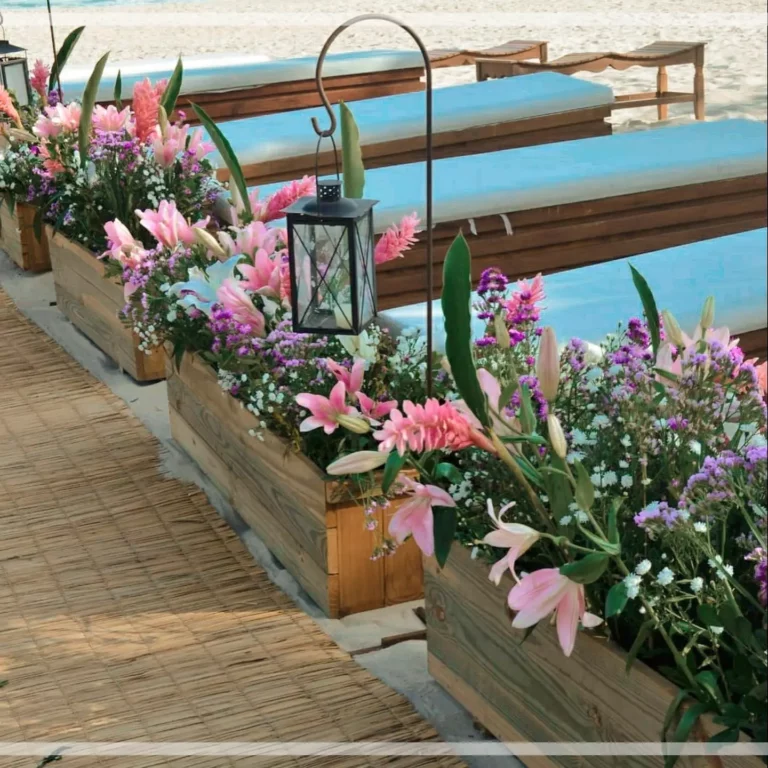 ISAIAS RIBEIRO DECOR 11 768x768