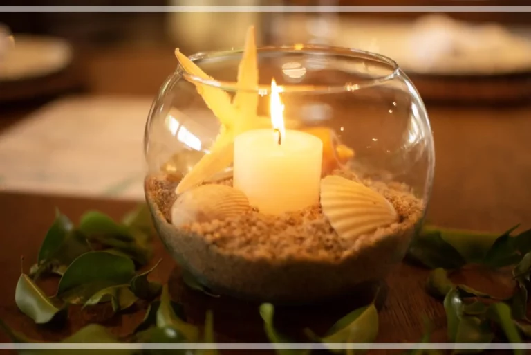 JUJUBA DECOR 2 768x513