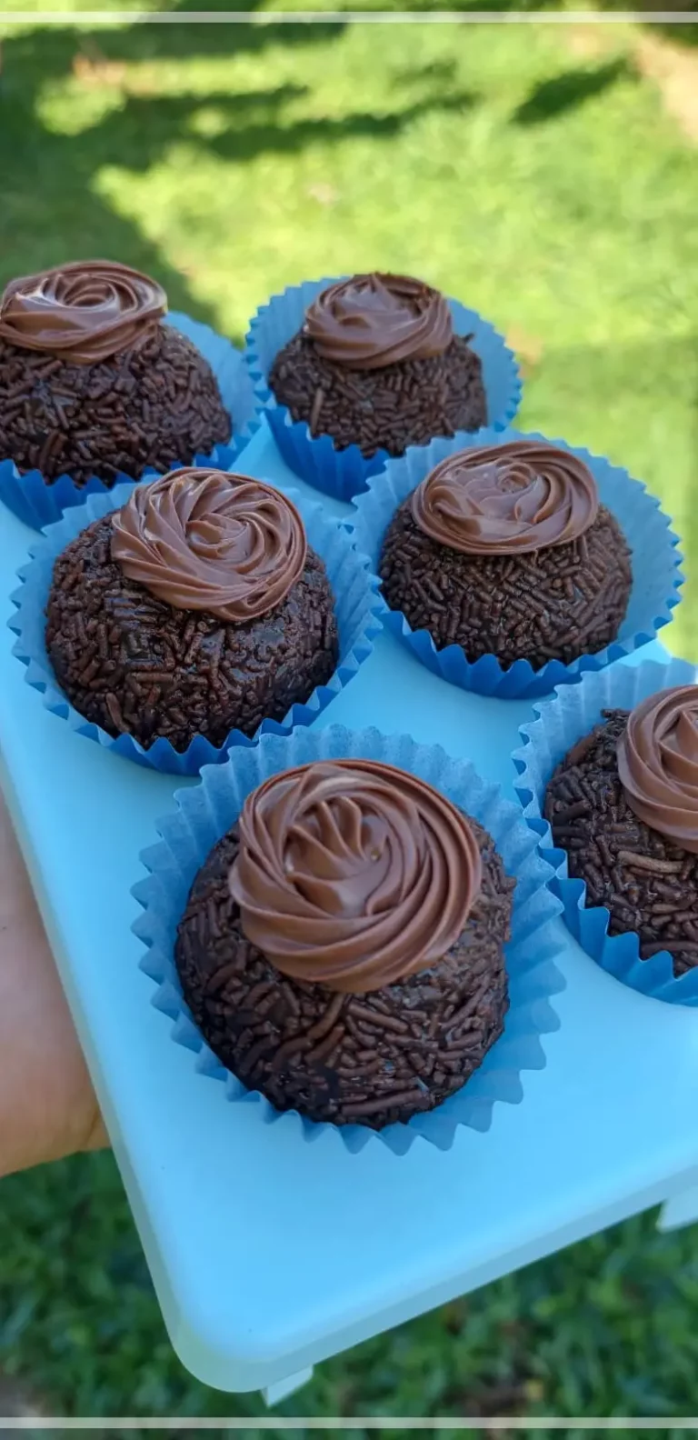 RENOVO SABOR 6 768x1584