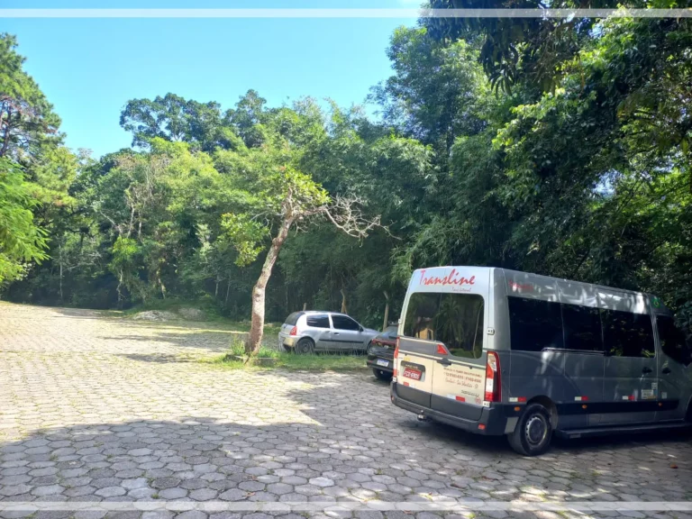 transline 14 768x576